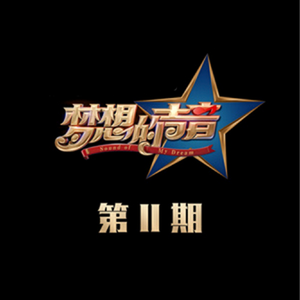 少妇人禽zozo伦视频
