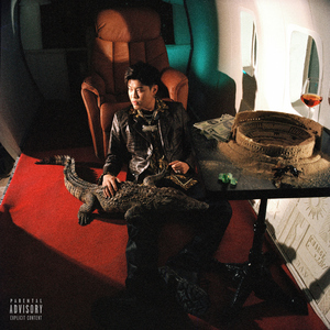 少妇人禽zozo伦视频
