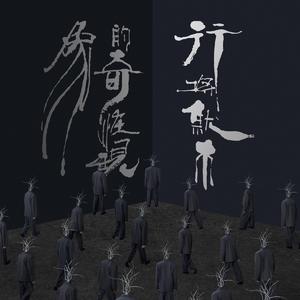 少妇人禽zozo伦视频
