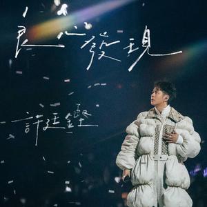 少妇人禽zozo伦视频
