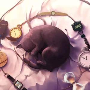 少妇人禽zozo伦视频
