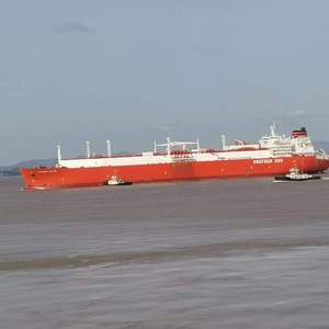 少妇人禽zozo伦视频
