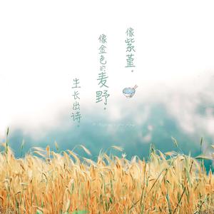 少妇人禽zozo伦视频
