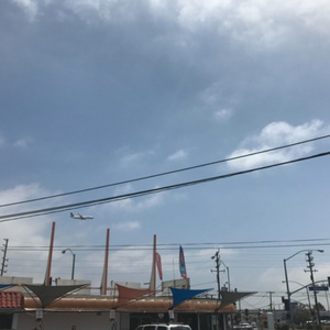 少妇人禽zozo伦视频
