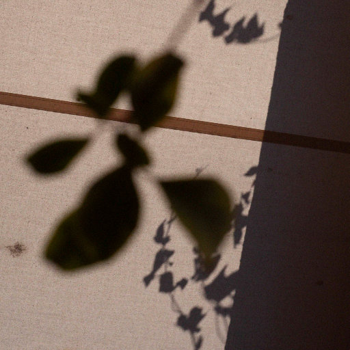 少妇人禽zozo伦视频
